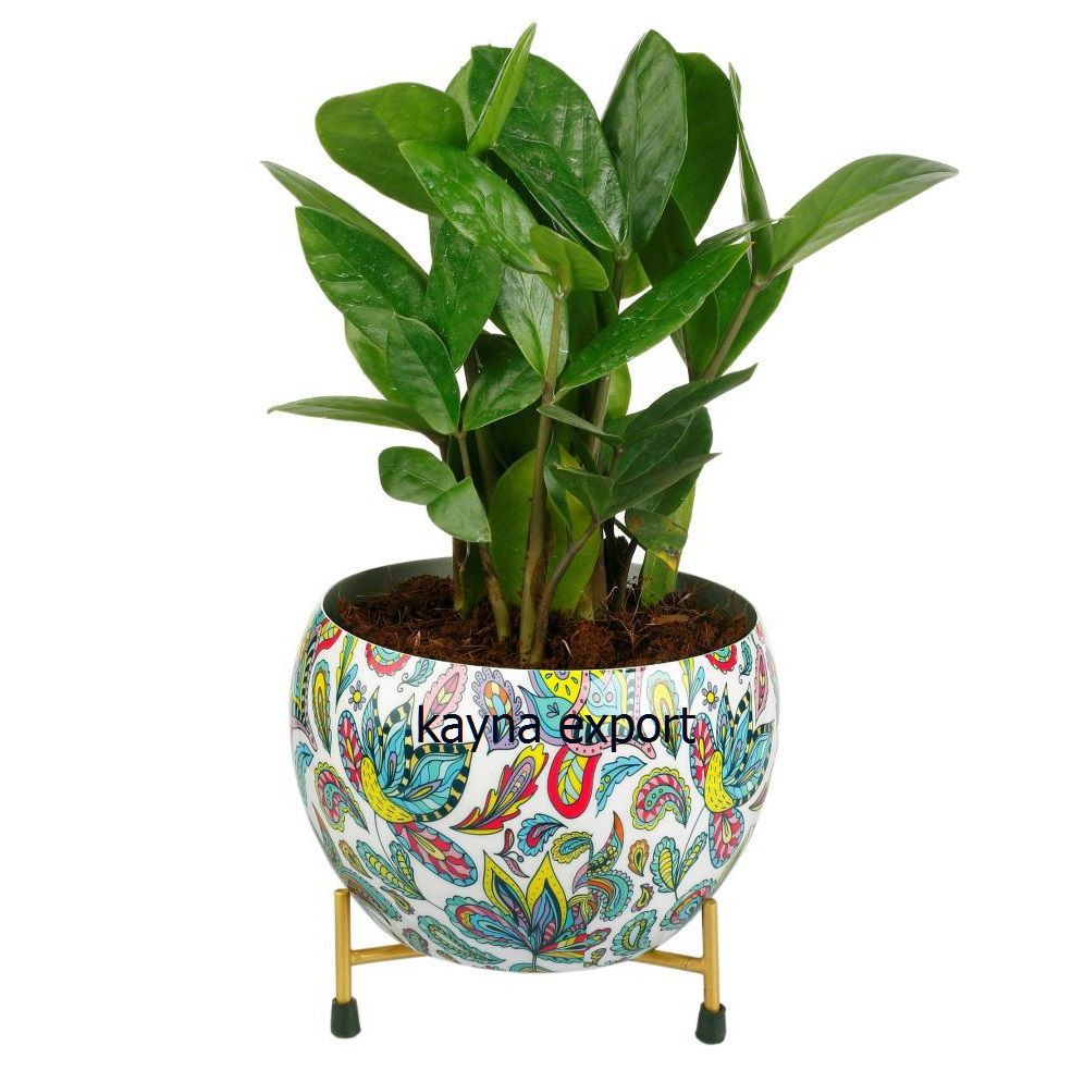 Kayna Export Product