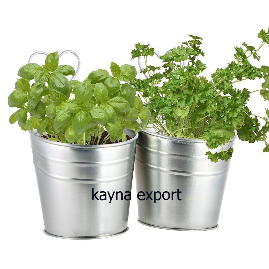 Kayna Export Product