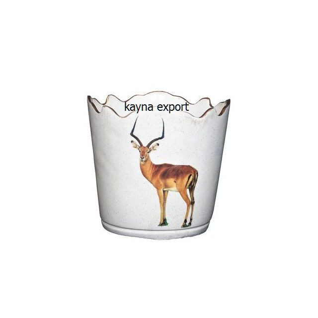 Kayna Export Product
