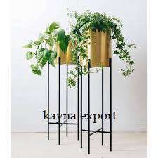 Kayna Export Product