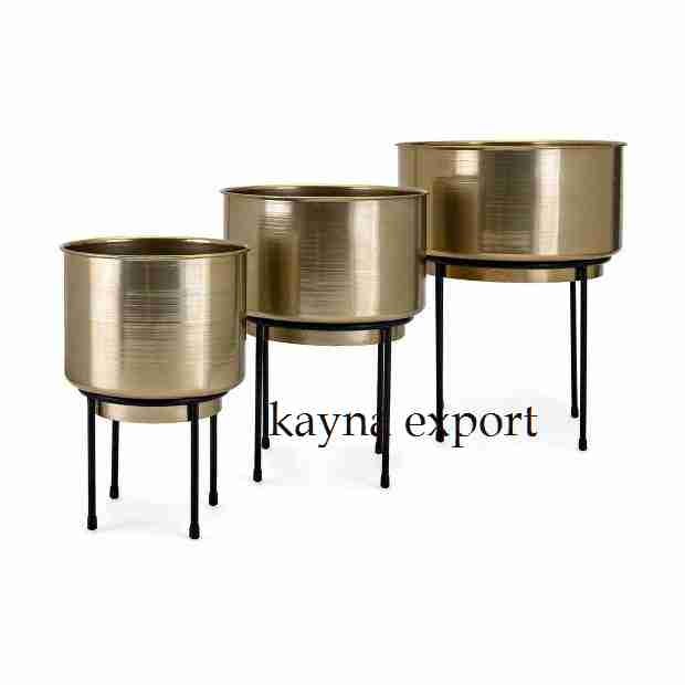 Kayna Export Product