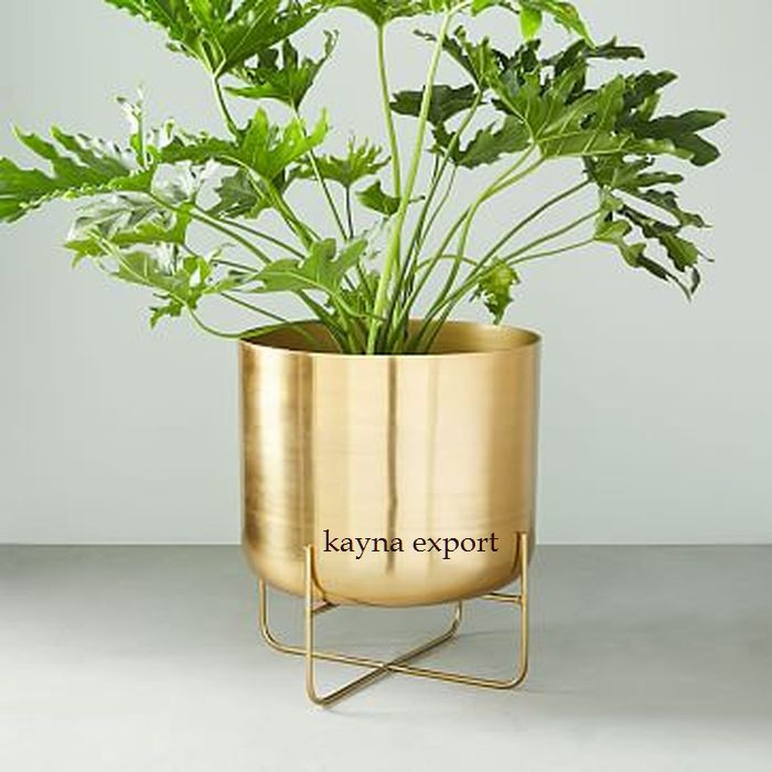 Kayna Export Product