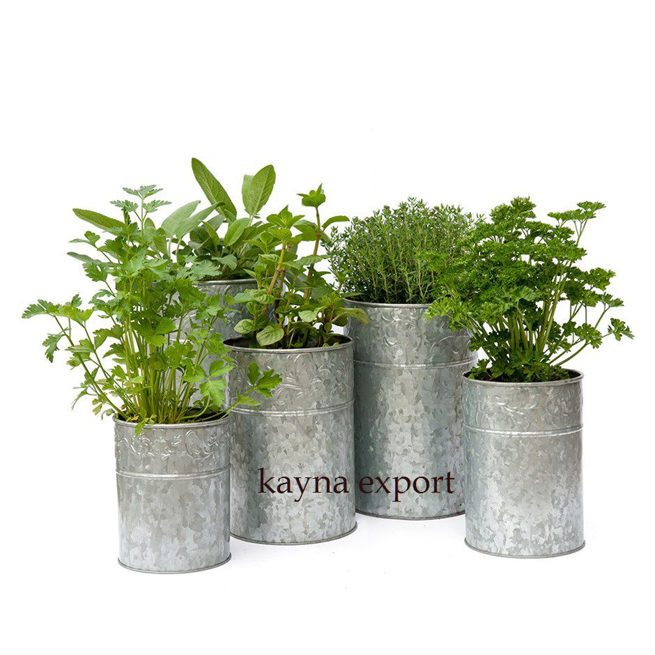 Kayna Export Product