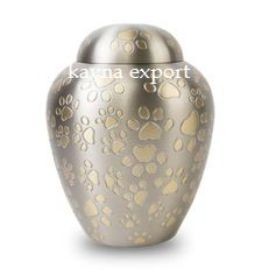 Kayna Export Product