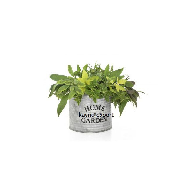 Kayna Export Product