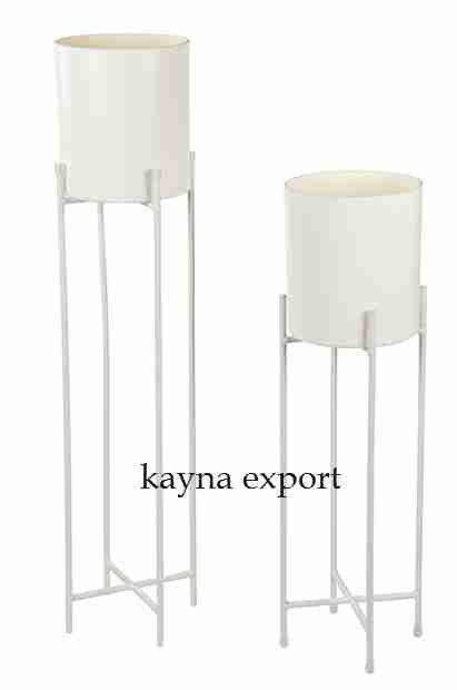 Kayna Export Product