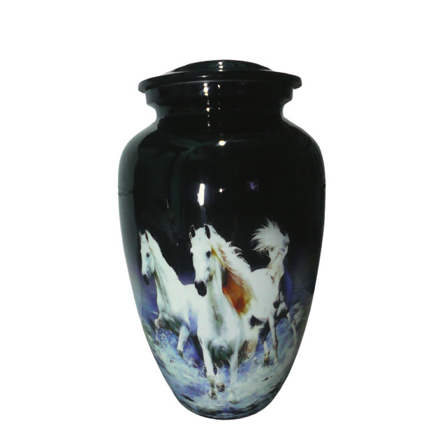 Kayna Export Product