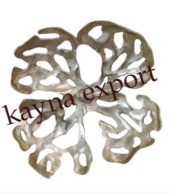 Kayna Export Product