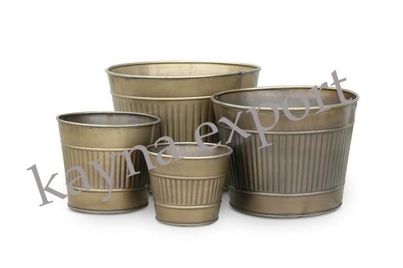 Kayna Export Product