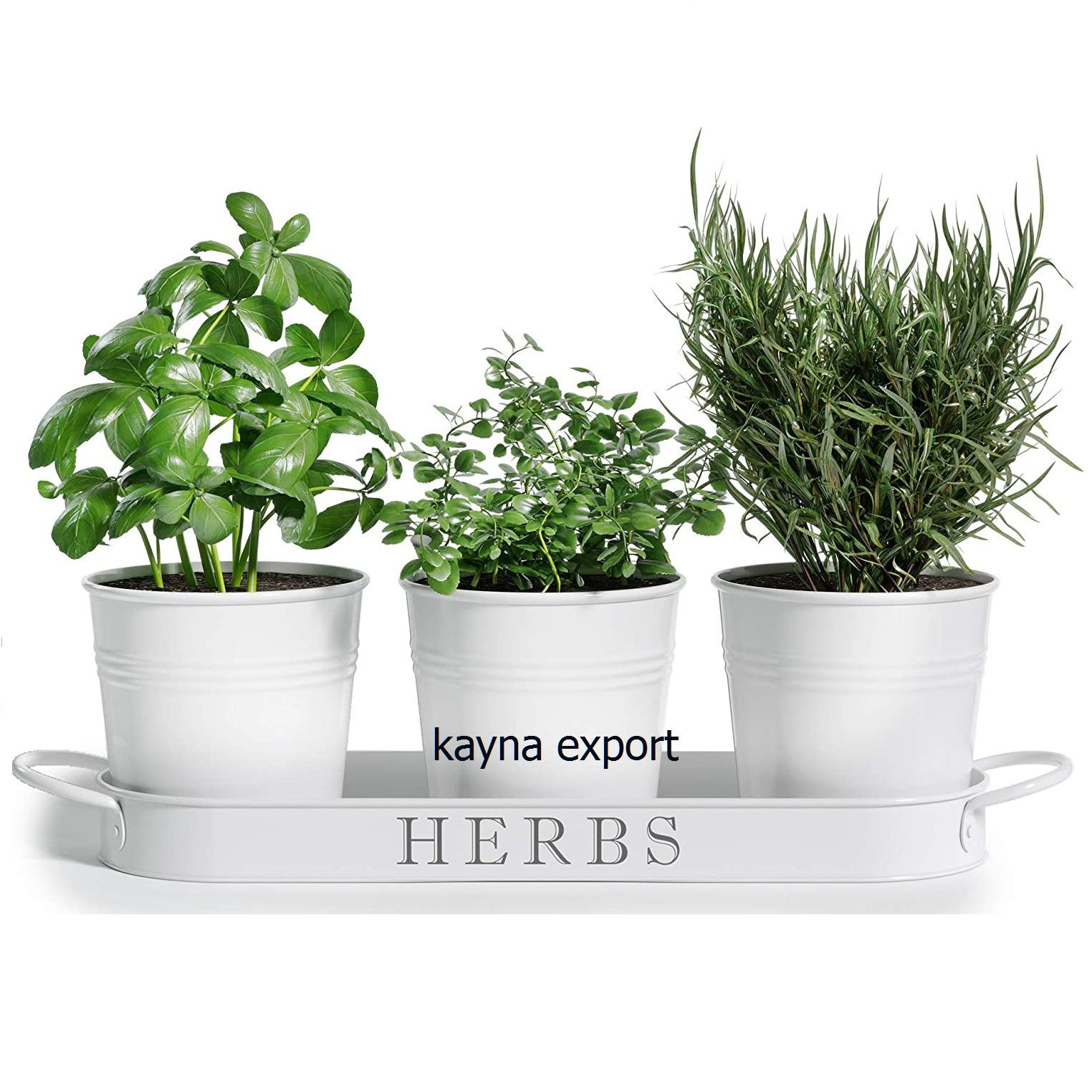 Kayna Export Product