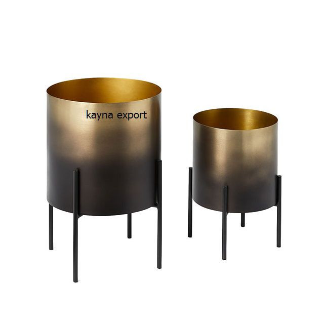 Kayna Export Product