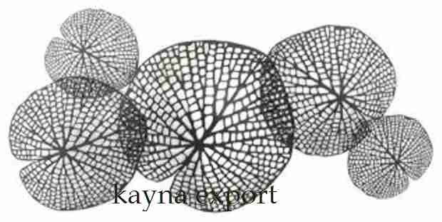 Kayna Export Product