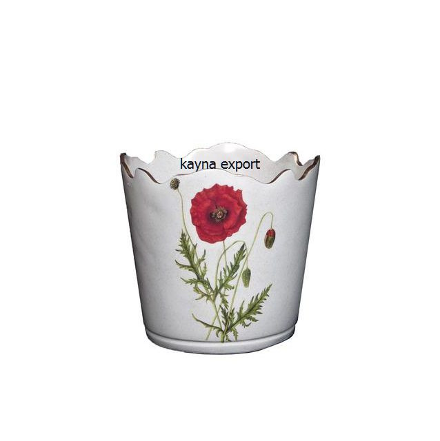 Kayna Export Product