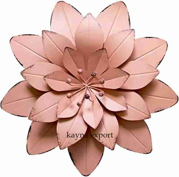 Kayna Export Product
