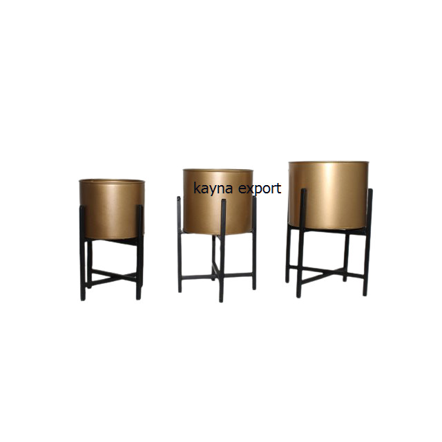 Kayna Export Product