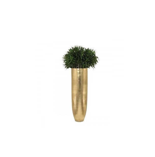 Kayna Export Product