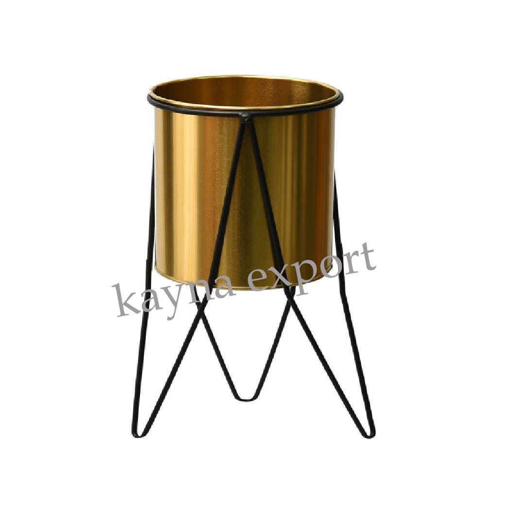 Kayna Export Product