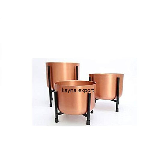 Kayna Export Product