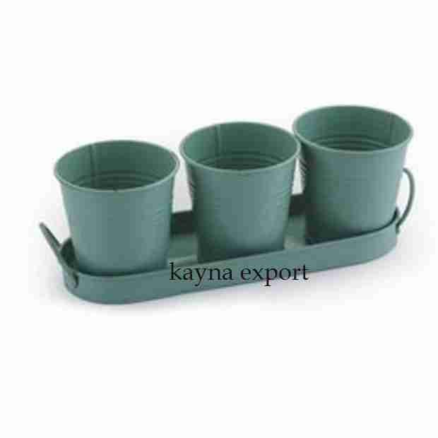 Kayna Export Product