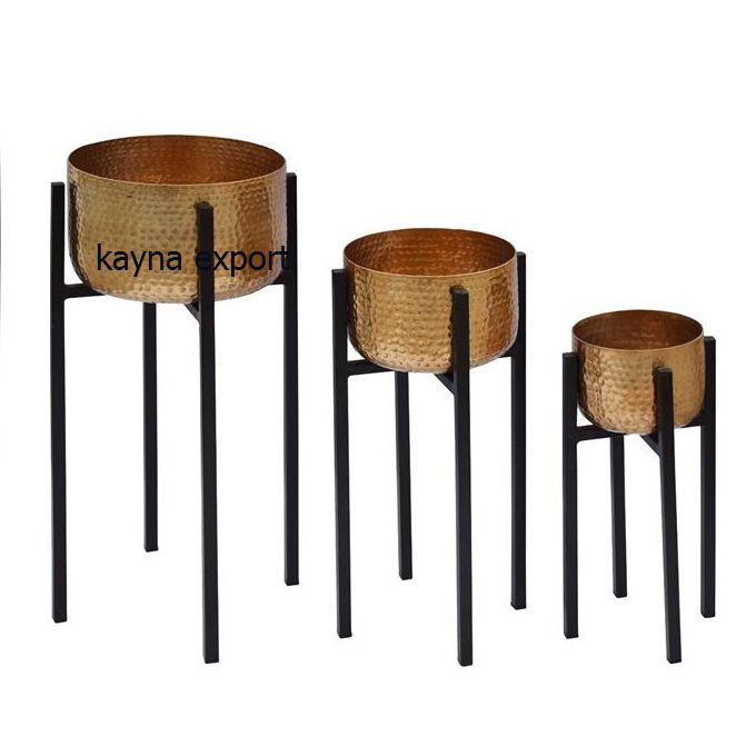 Kayna Export Product
