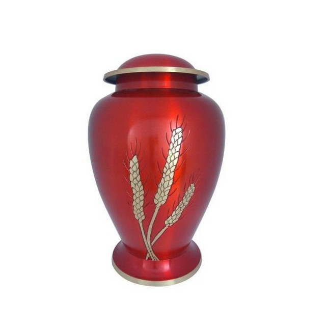 Kayna Export Product
