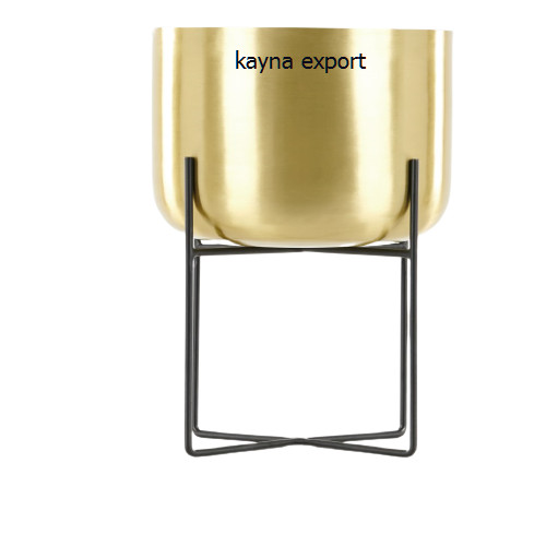 Kayna Export Product