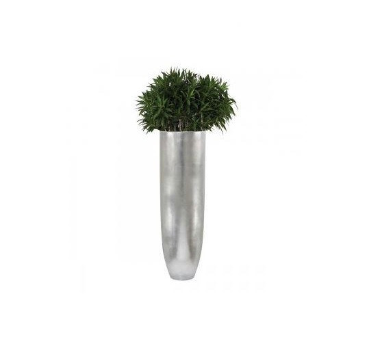 Kayna Export Product