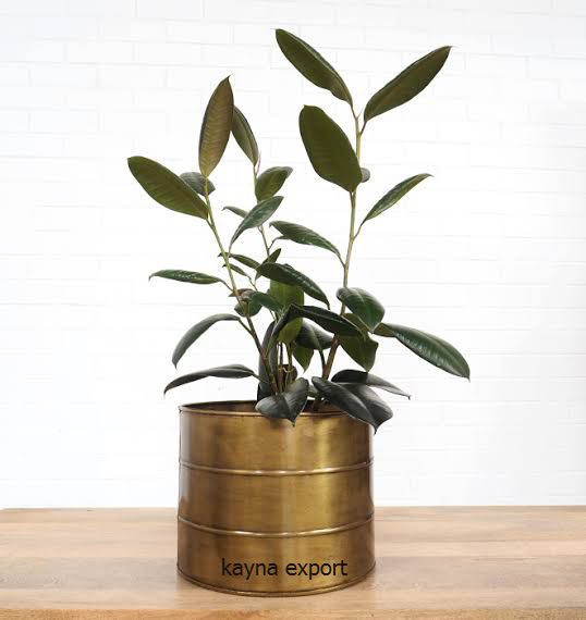 Kayna Export Product