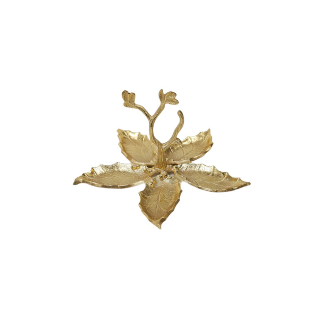 Kayna Export Product
