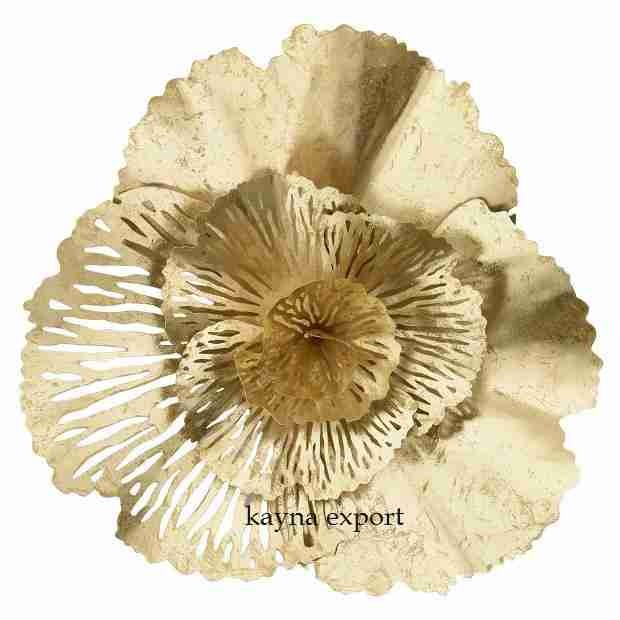 Kayna Export Product