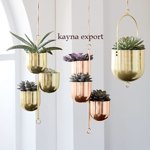 Kayna Export Product