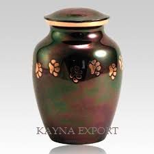 Kayna Export Product