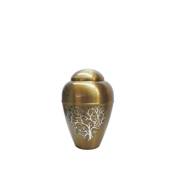 Kayna Export Product